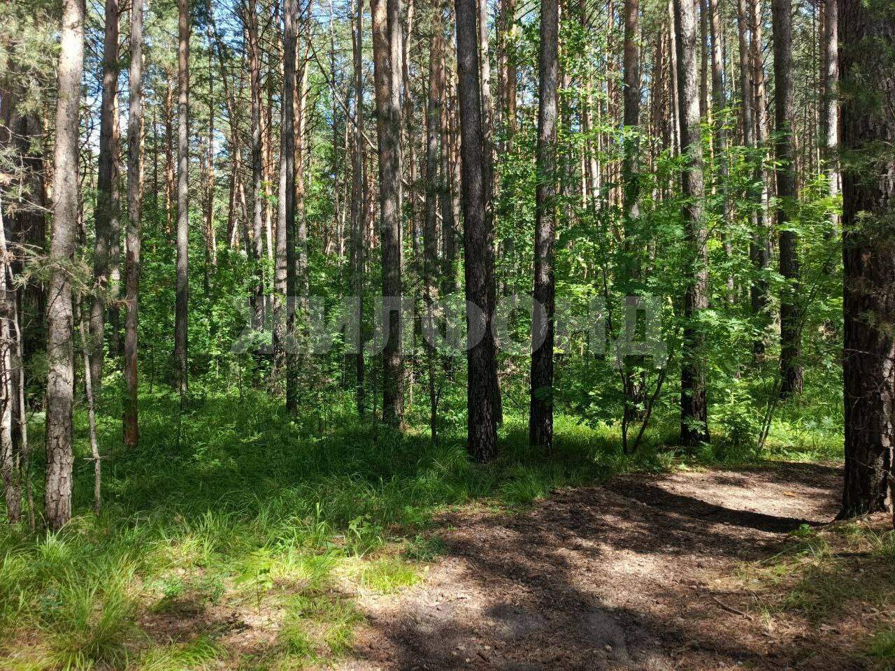 Продам земельный участок 1200 м.кв.