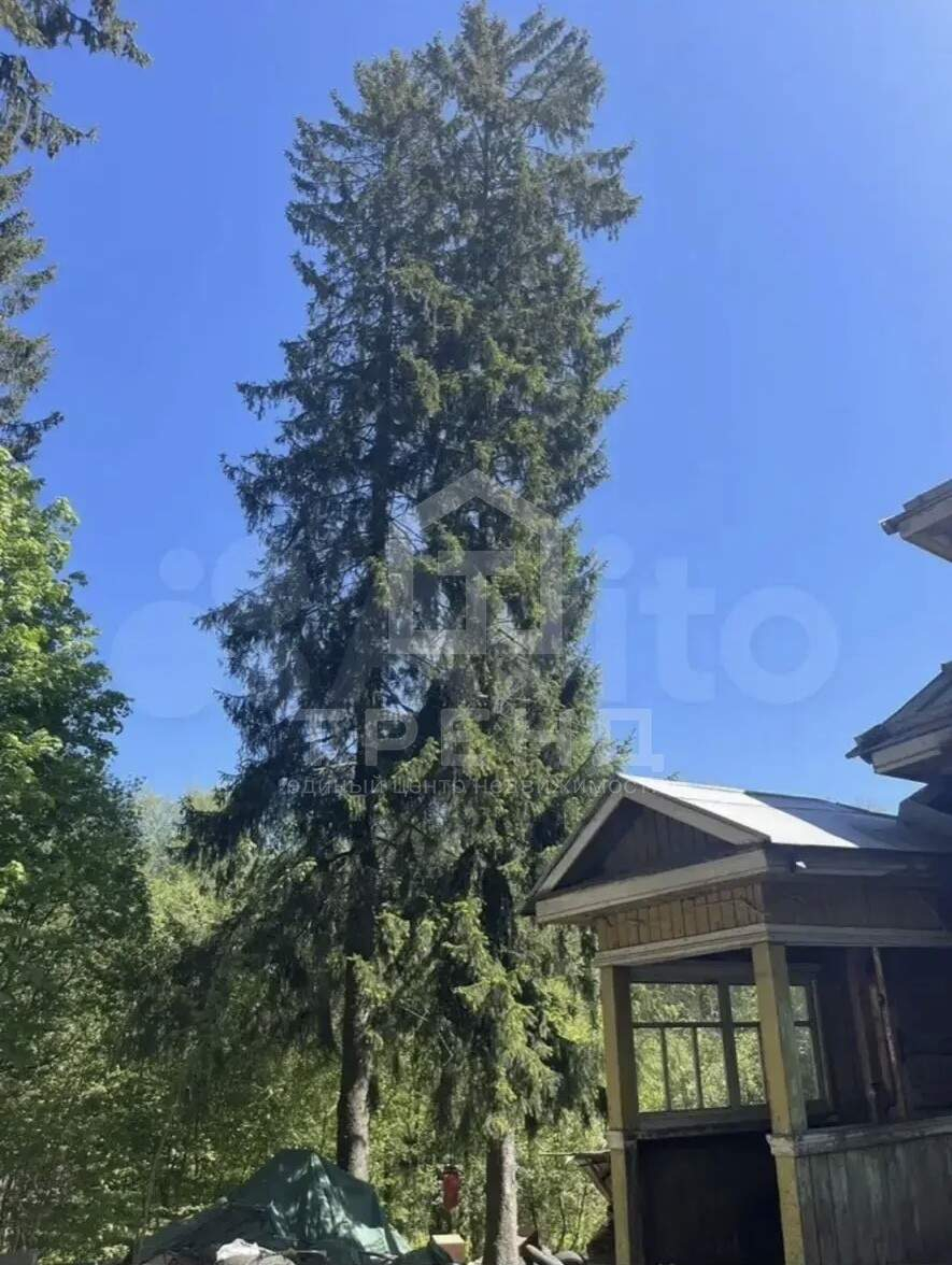 Продам земельный участок 1900 м.кв.