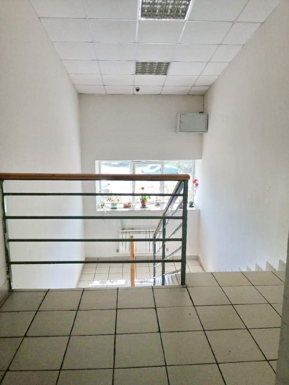 Сдам в аренду помещение свободного назначения 30 м.кв.
