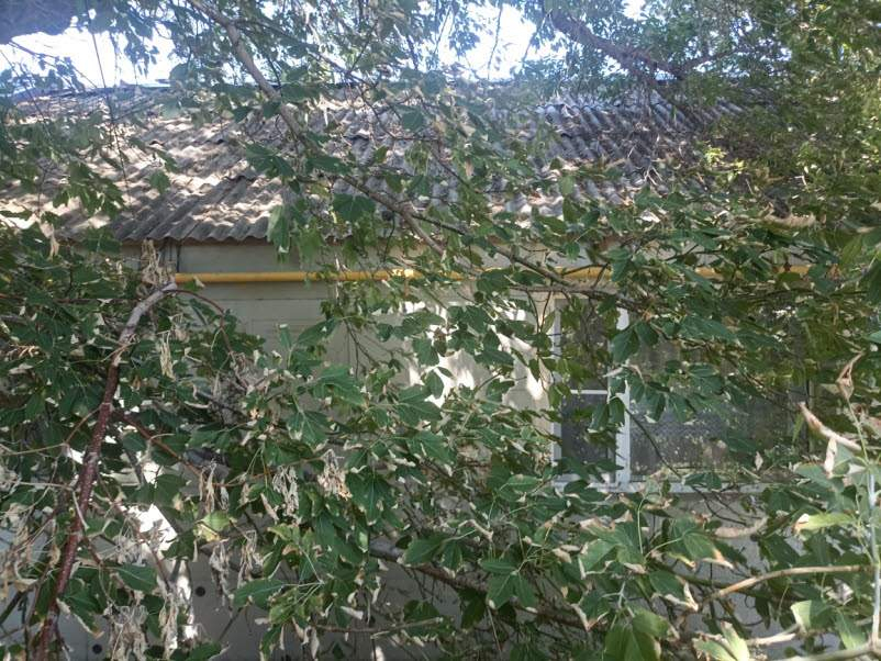Дом на продажу в Палласовке, Ушакова ул., 12/1 фото №8