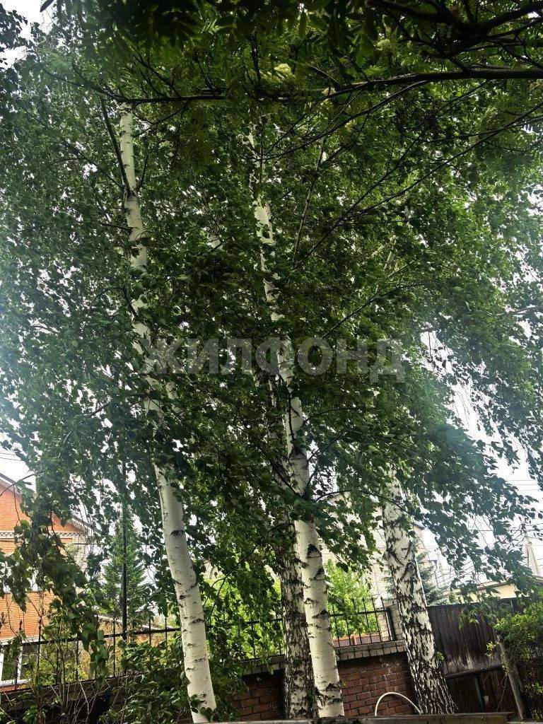 Дом на продажу в Абакане, Тополевая ул. фото №20
