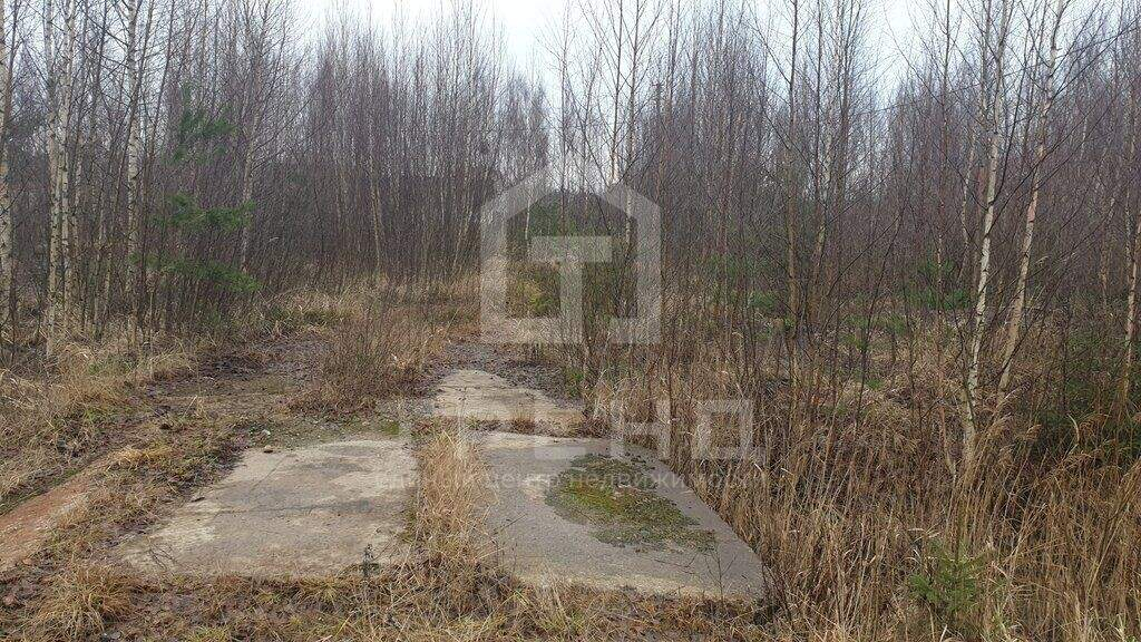 Продам земельный участок 1200 м.кв.