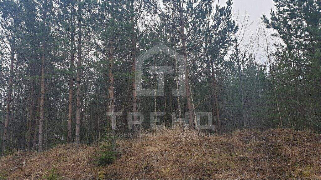 Продам земельный участок 1200 м.кв.