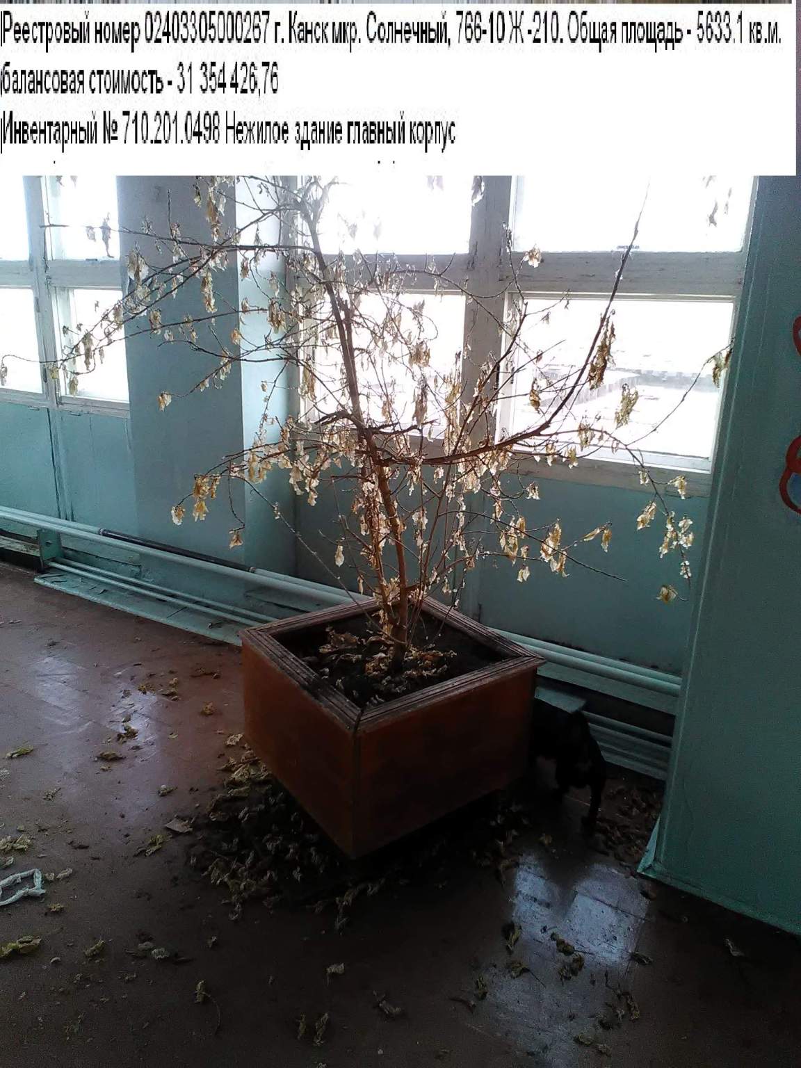 Продам торговое помещение 6698.7 м.кв.