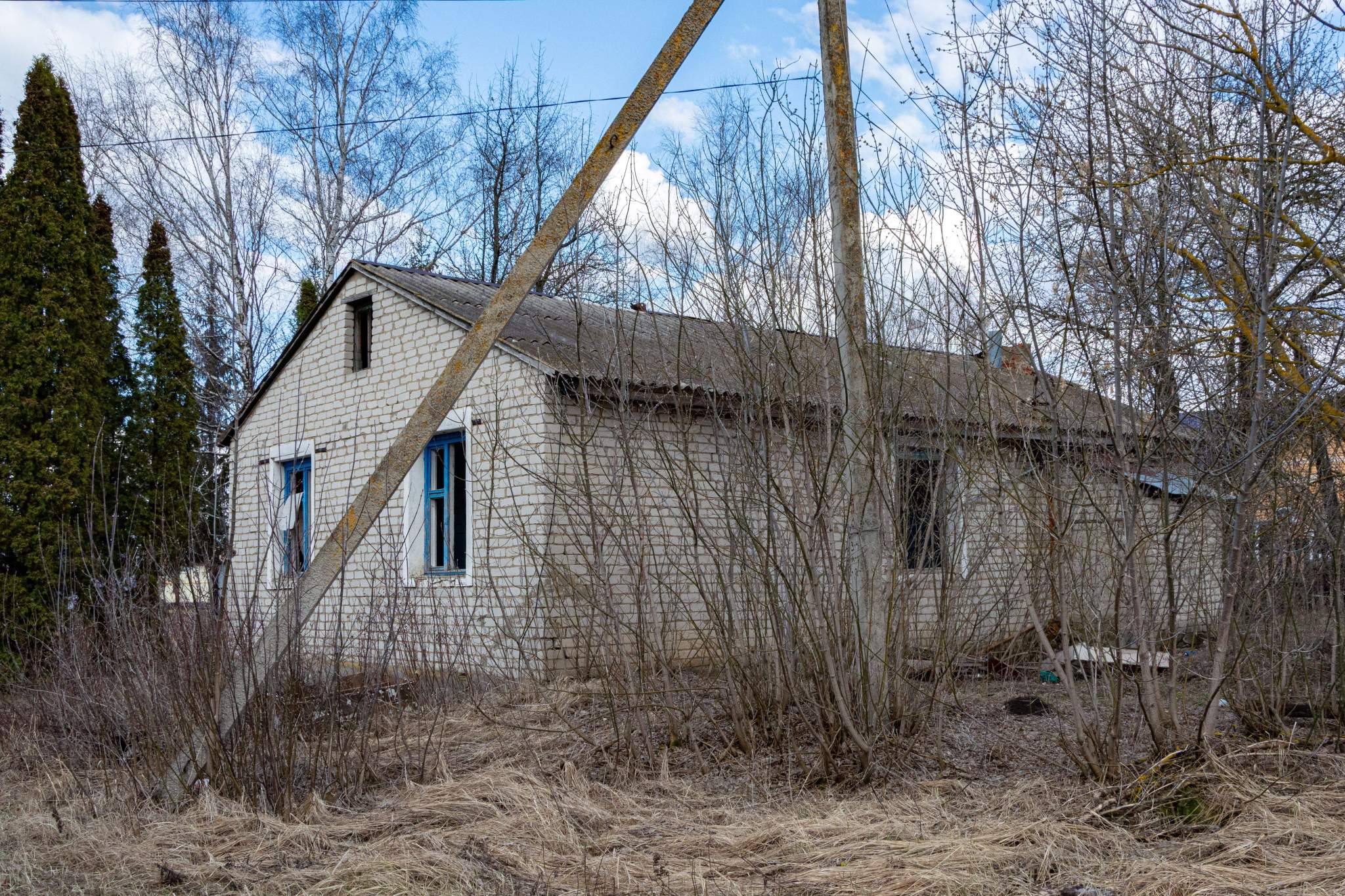Продам торговое помещение 85.8 м.кв.