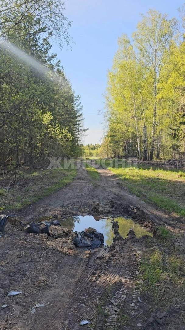 Продам земельный участок 25400 м.кв.
