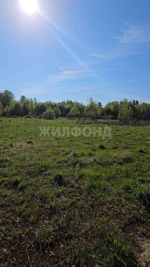 Продам земельный участок 25400 м.кв.