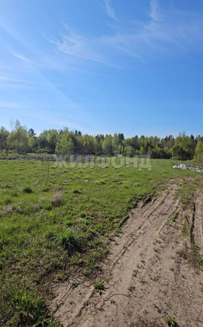 Продам земельный участок 25400 м.кв.