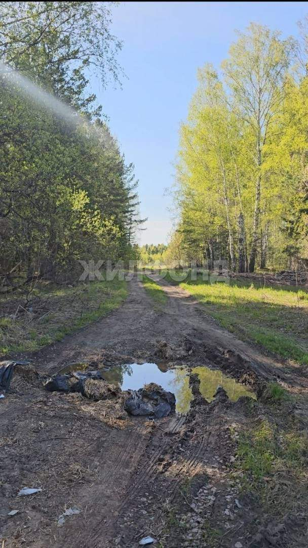 Продам земельный участок 25400 м.кв.
