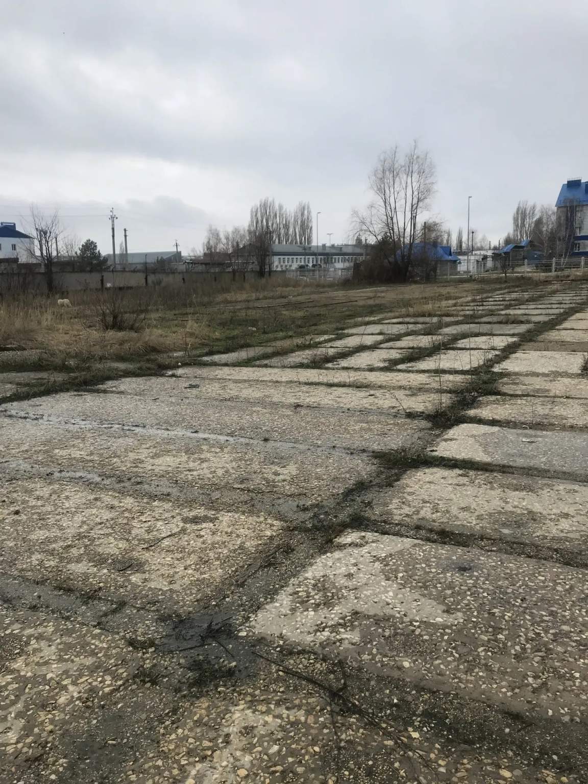 Продам торговое помещение 572.8 м.кв.