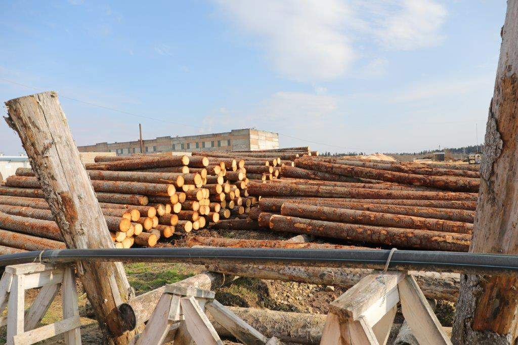 Продам производственное помещение 9815.2 м.кв.