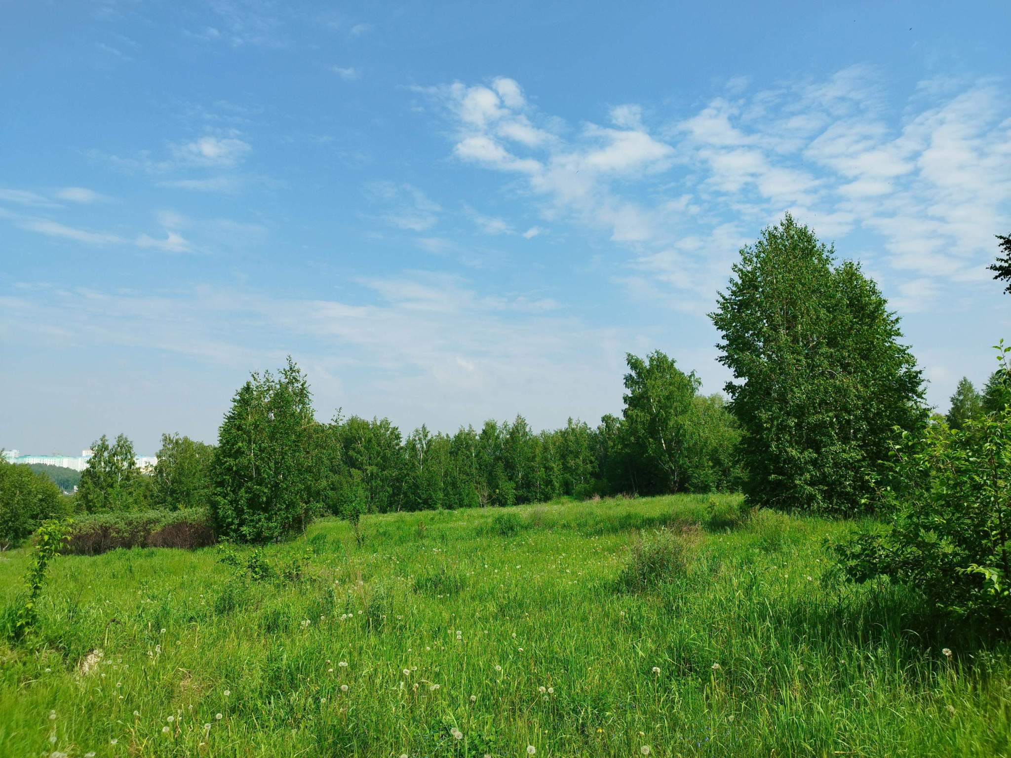 Продам земельный участок 42749 м.кв.