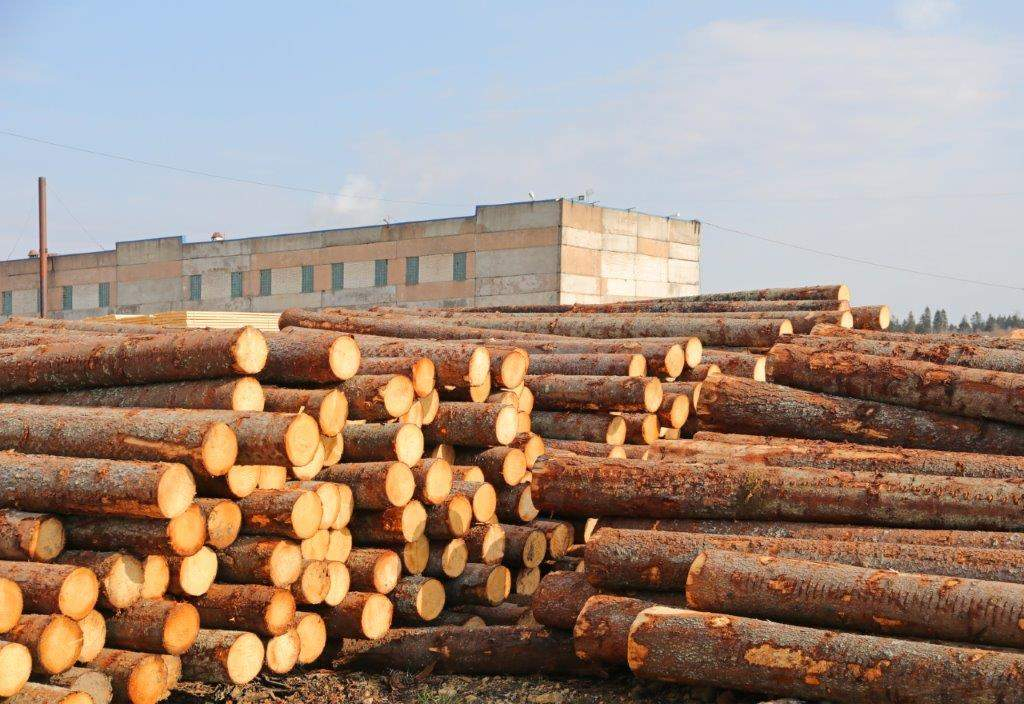 Продам производственное помещение 9815.2 м.кв.
