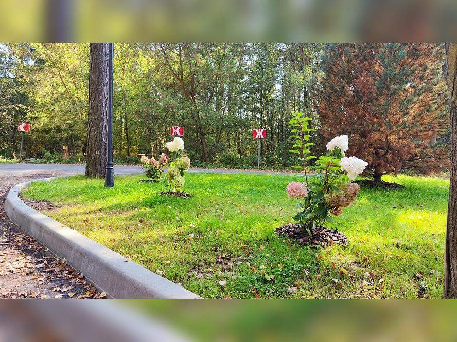 Продам земельный участок 1003 м.кв.