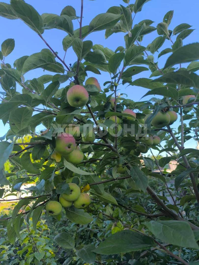Продам земельный участок 581 м.кв.