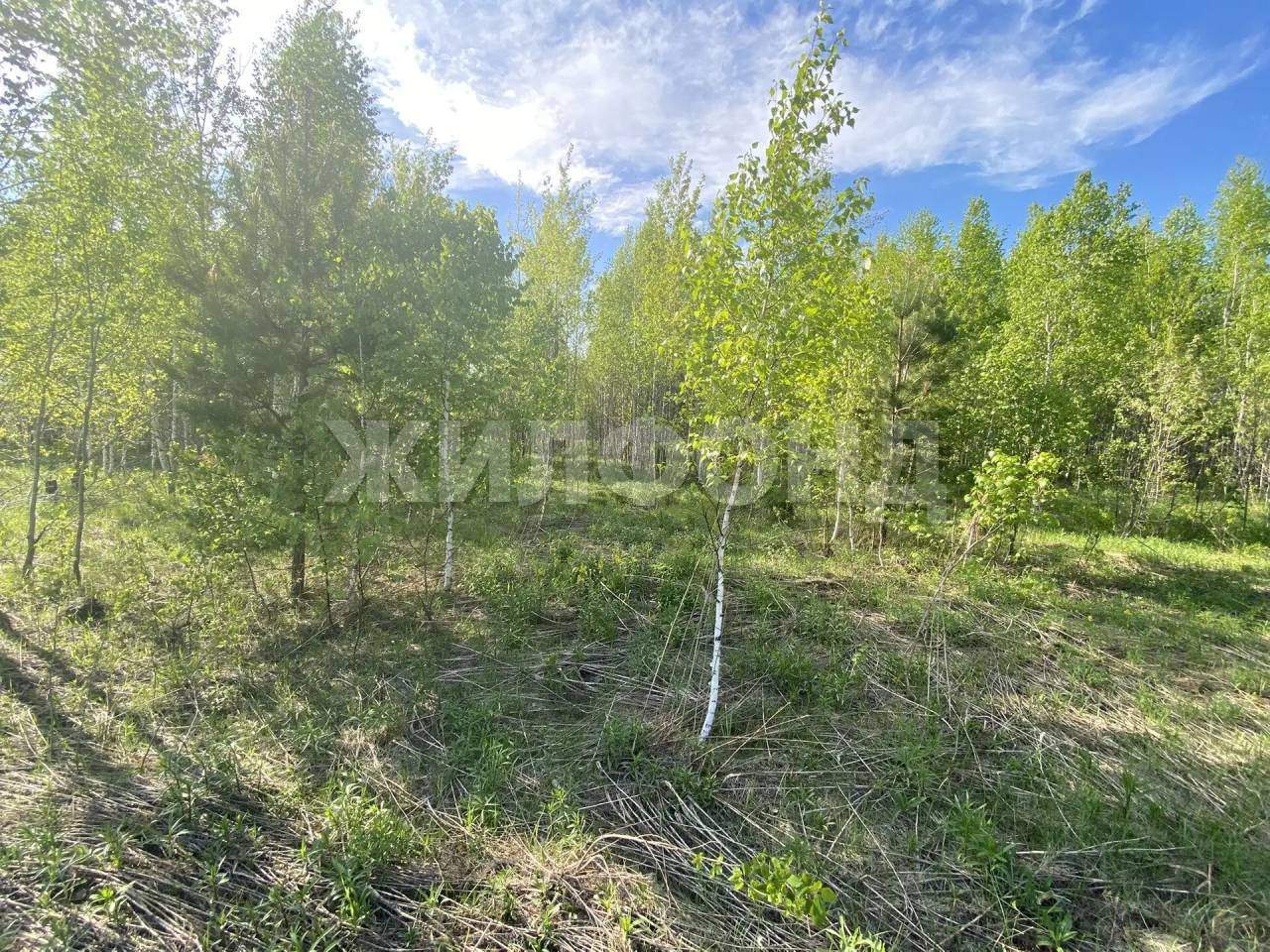 Продам земельный участок 1120 м.кв.