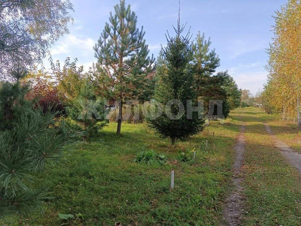 Продам земельный участок 1200 м.кв.