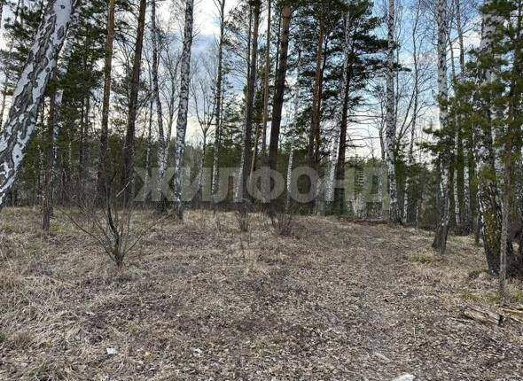 Продам земельный участок 600 м.кв.