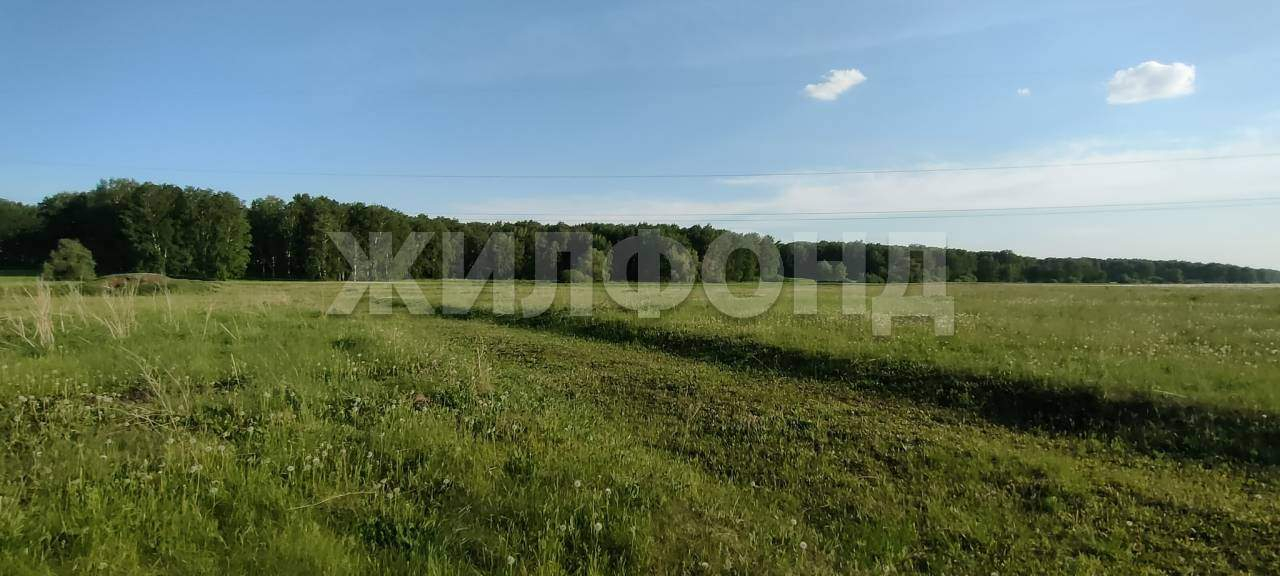 Продам земельный участок 3000 м.кв.