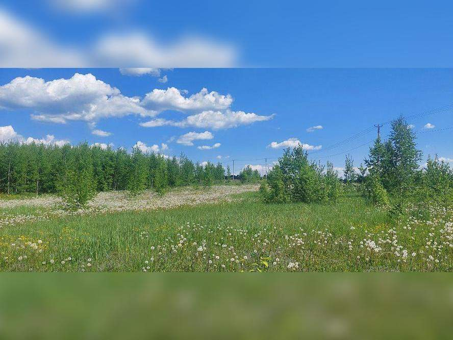 Продам земельный участок 8172 м.кв.