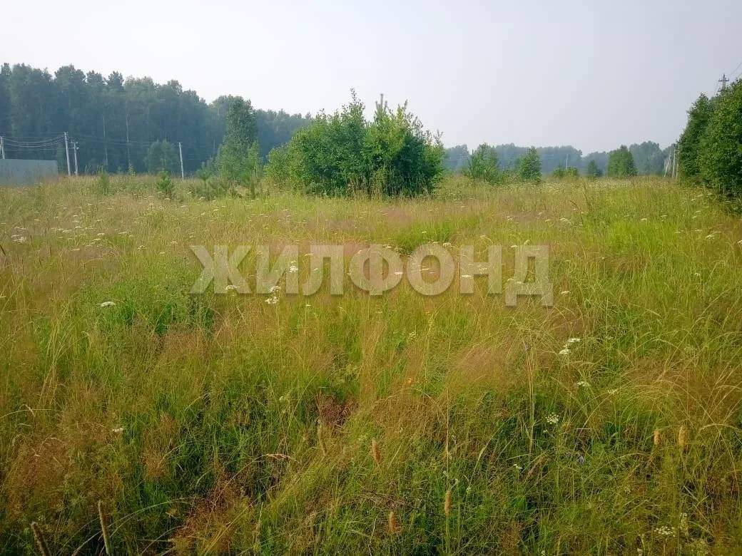Продам земельный участок 1150 м.кв.