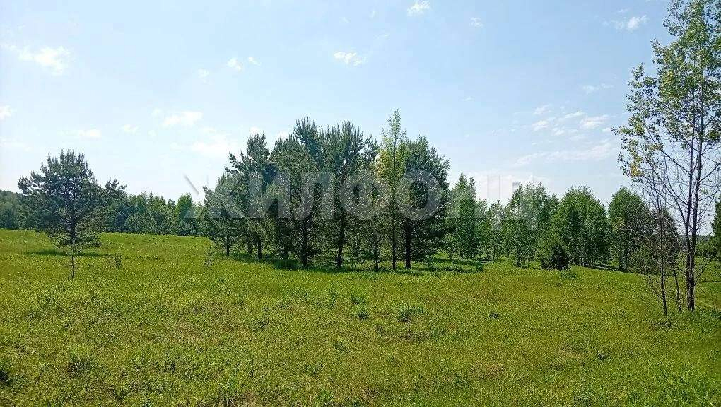 Продам земельный участок 1200 м.кв.