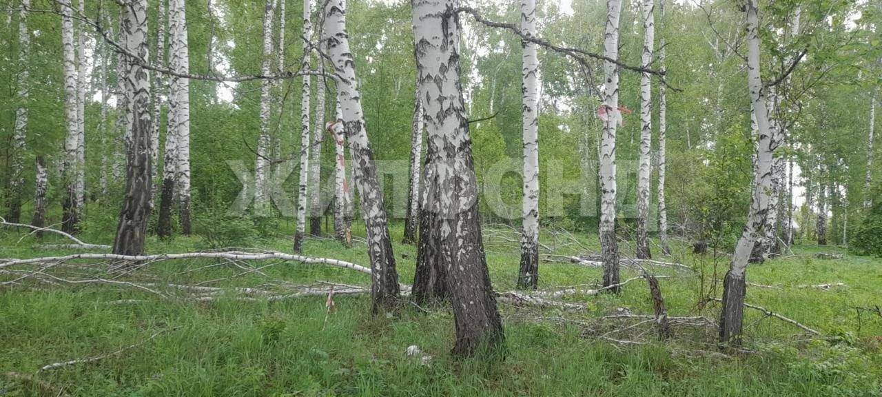 Продам земельный участок 1445400 м.кв.