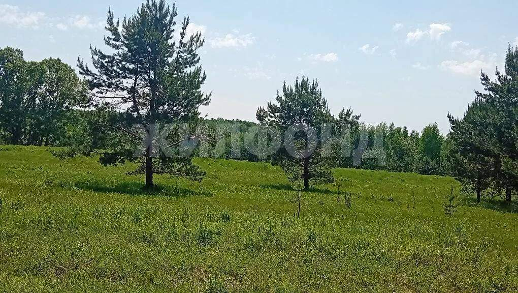 Продам земельный участок 1200 м.кв.
