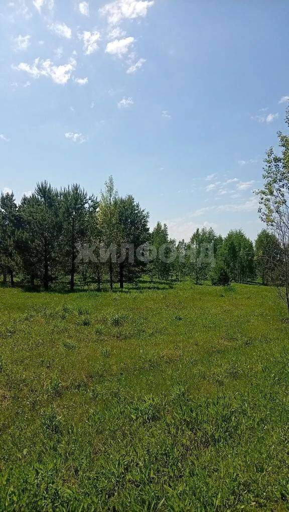 Продам земельный участок 1200 м.кв.