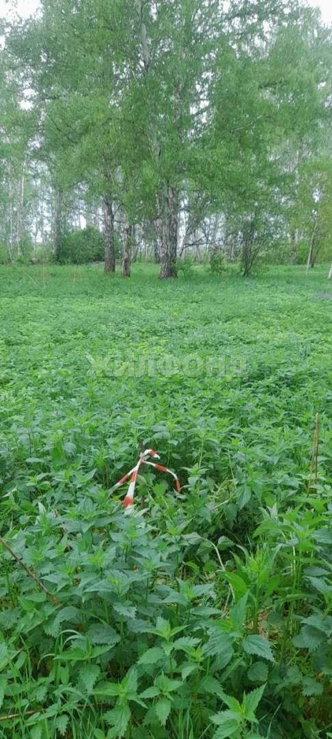 Продам земельный участок 1445400 м.кв.