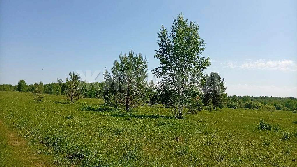 Продам земельный участок 1200 м.кв.