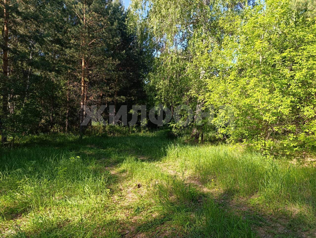 Продам земельный участок 110000 м.кв.