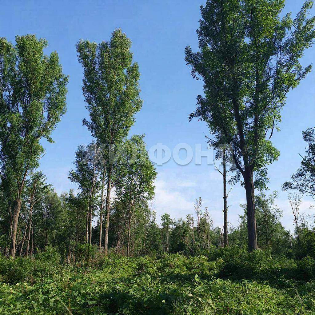 Продам земельный участок 606 м.кв.