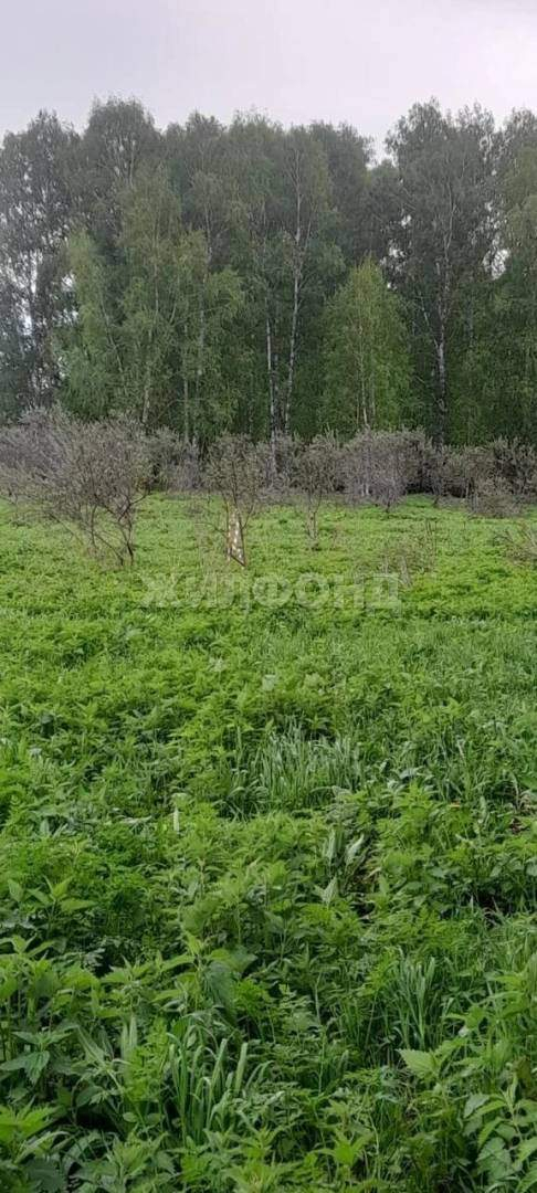 Продам земельный участок 1445400 м.кв.