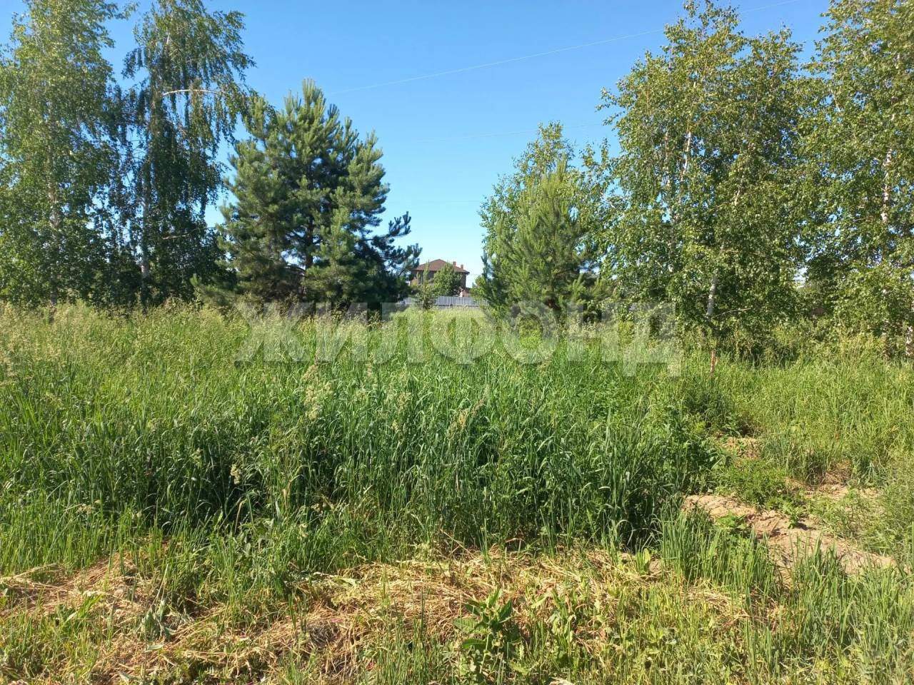 Продам земельный участок 1500 м.кв.