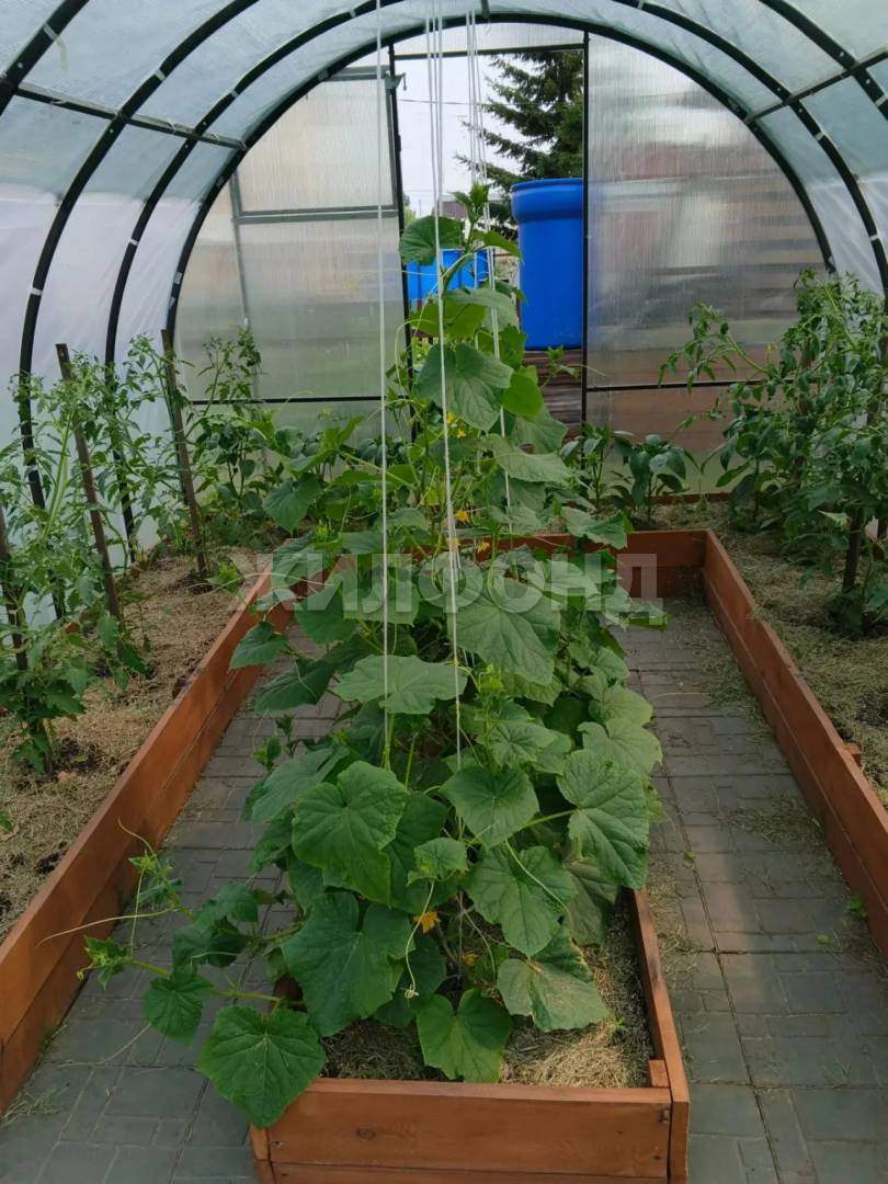 Продам земельный участок 627 м.кв.