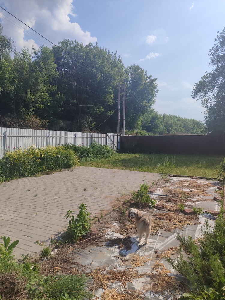 Дом на продажу в Жуковском, Стрела территория снт фото №12