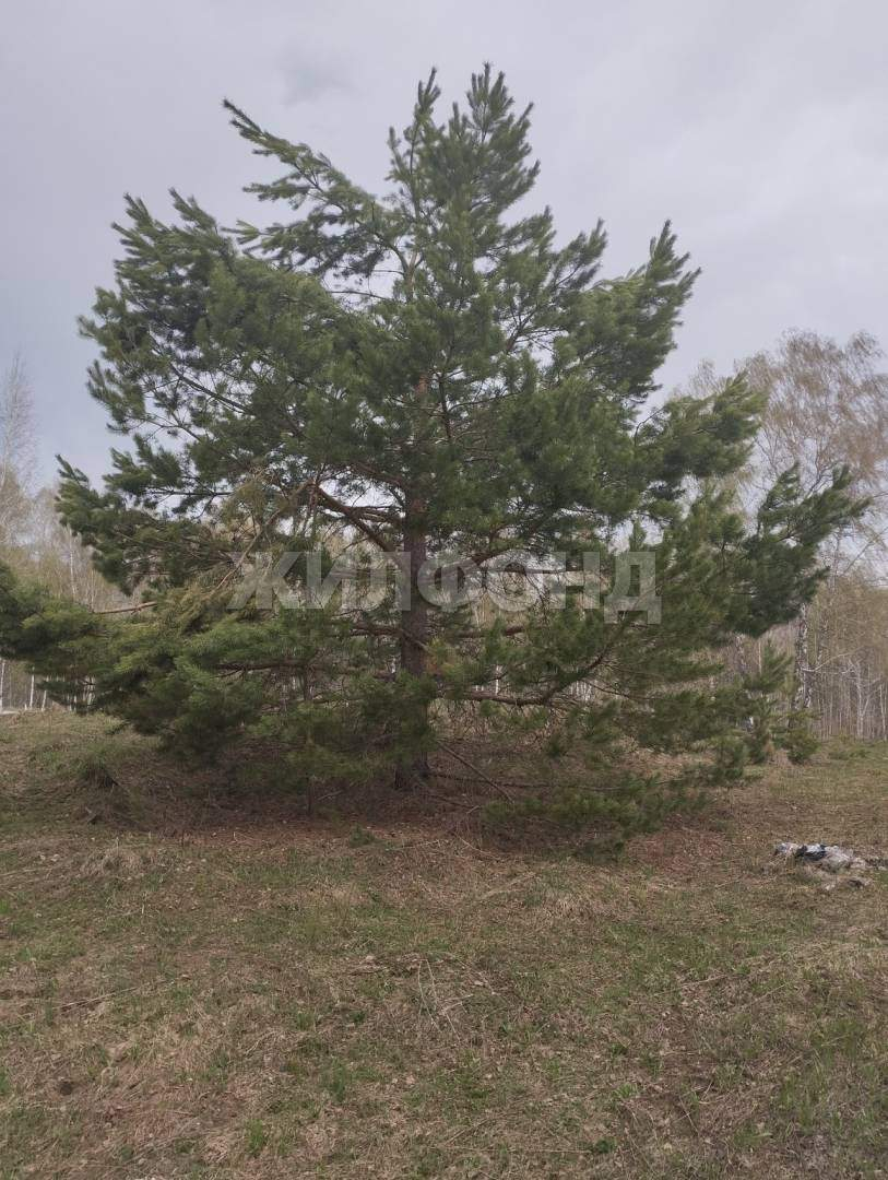 Продам земельный участок 800 м.кв.