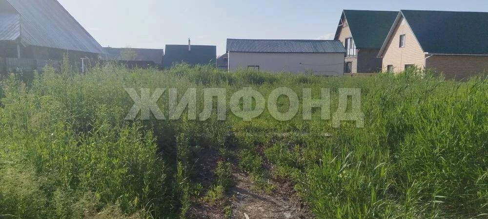 Участок на продажу в Павловске, Красный Алтай улица фото №5