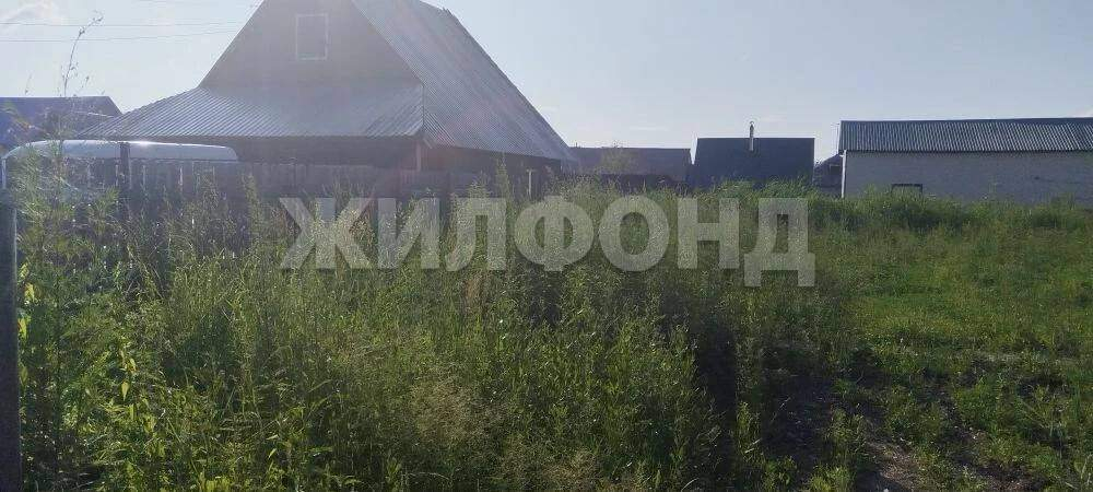 Участок на продажу в Павловске, Красный Алтай улица фото №4