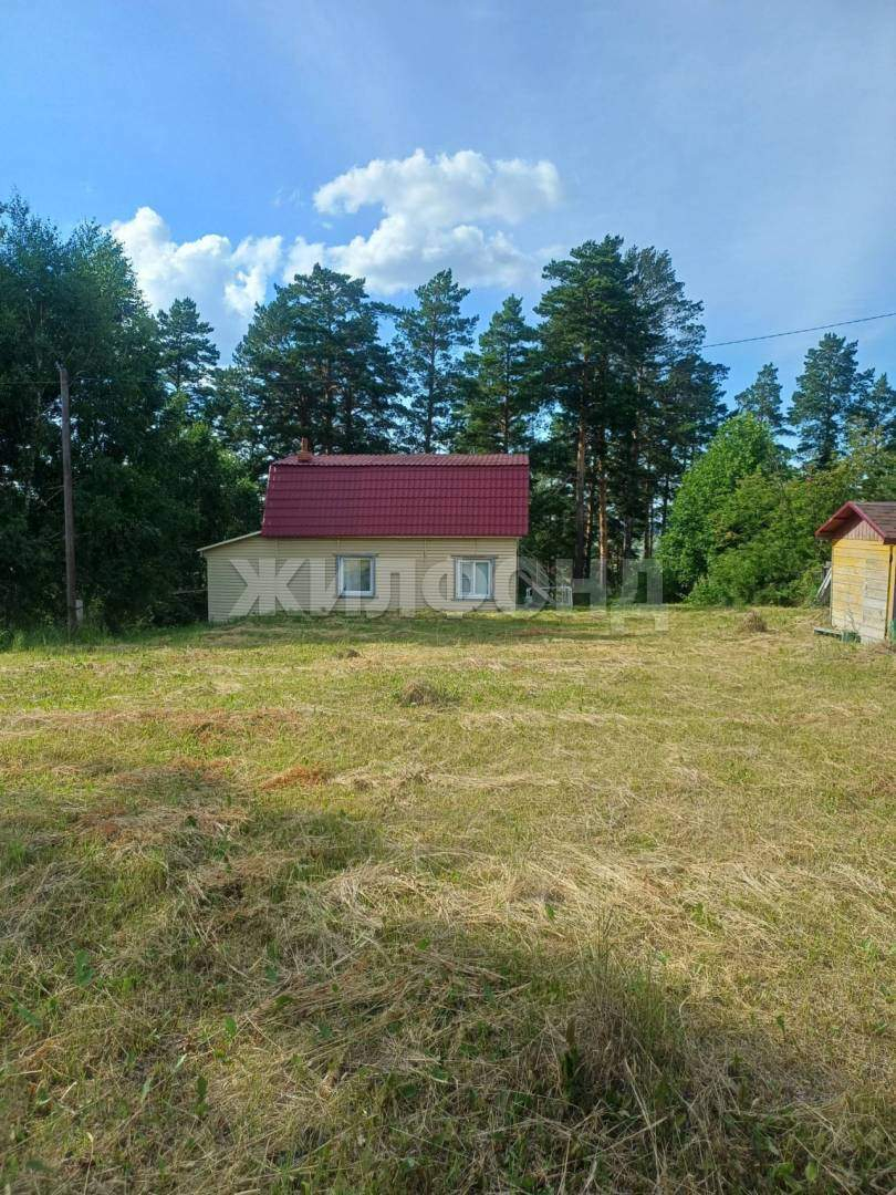 Дом на продажу в посёлке Синий Утёс (сдт Синий Утес ( Синий Утес) тер), Тенистая улица фото №10