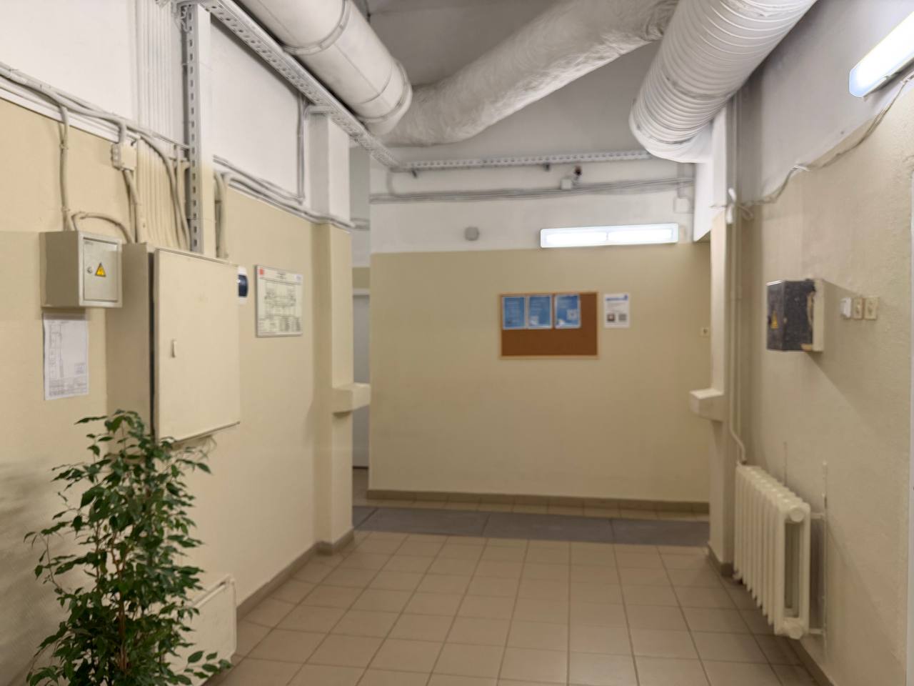 Сдам в аренду офис 47.5 м.кв.