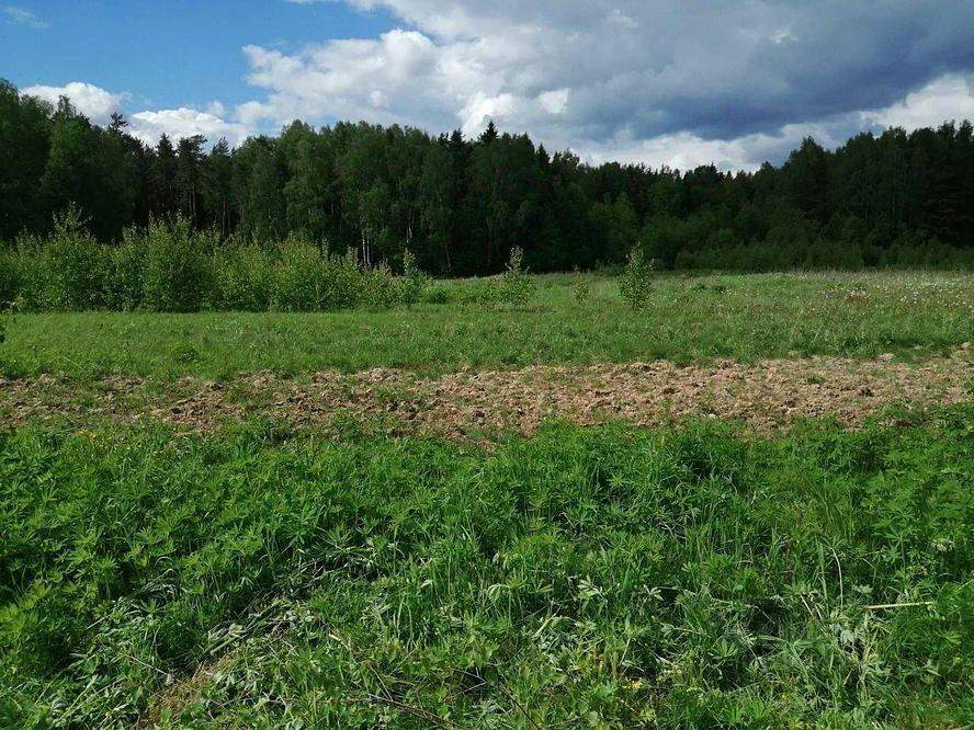 Участок на продажу в Гавриловке фото №1