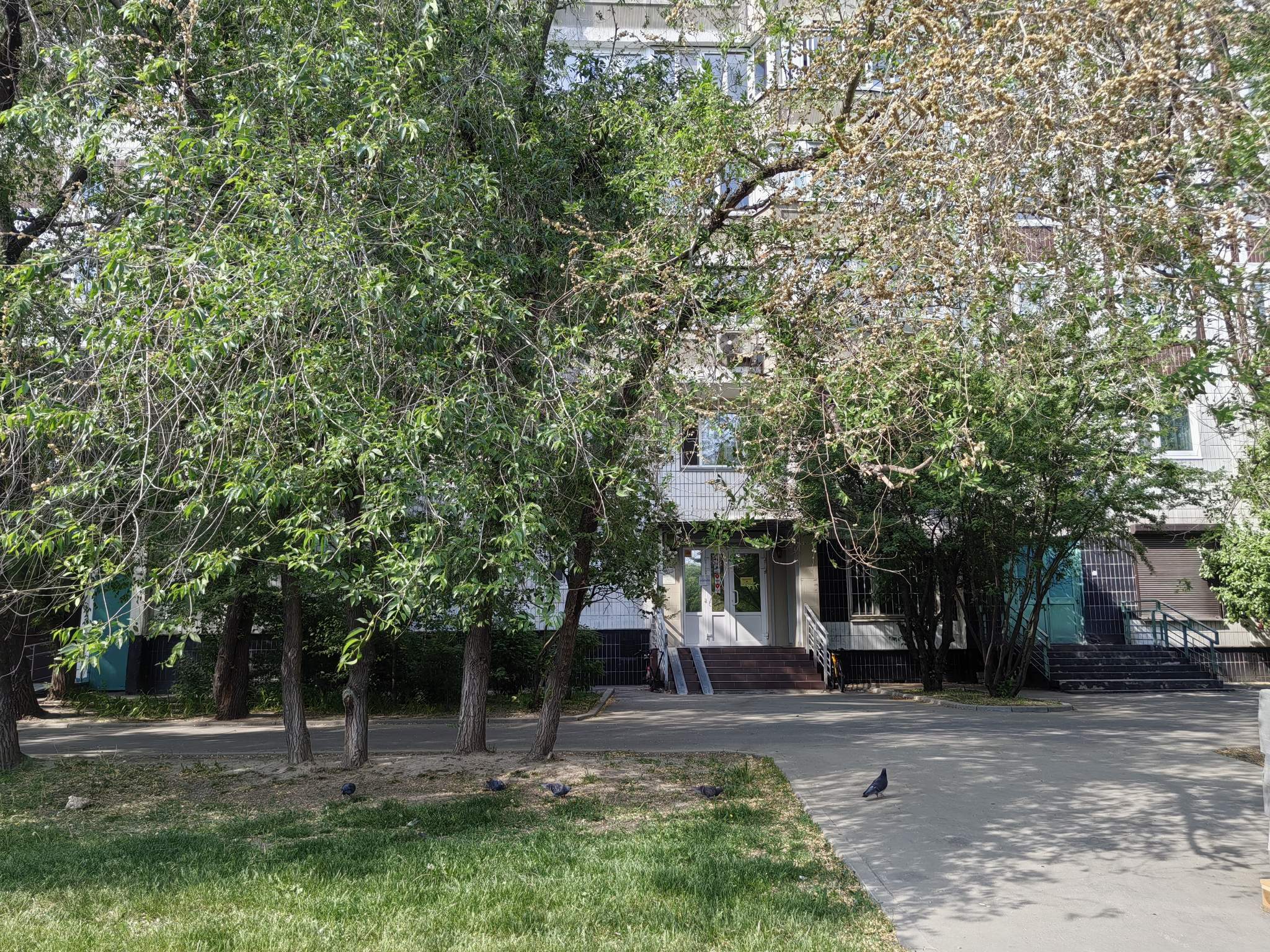 Сдам в аренду помещение свободного назначения 57 м.кв.