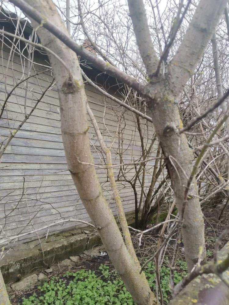 Продам торговое помещение 50.7 м.кв.