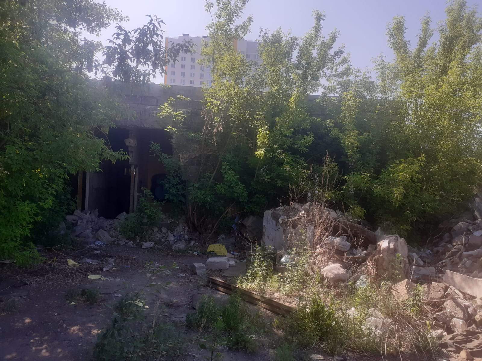Продам торговое помещение 955.2 м.кв.