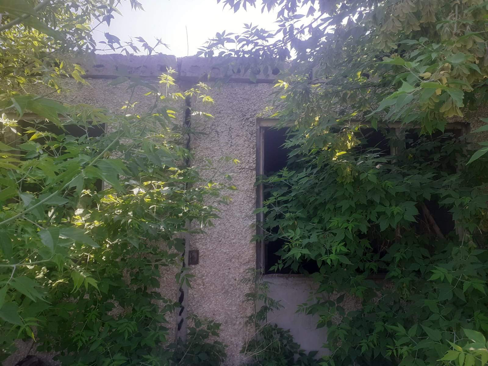 Продам торговое помещение 955.2 м.кв.