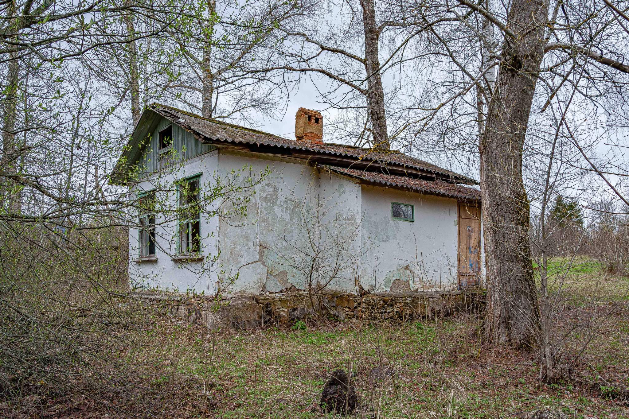 Продам торговое помещение 53.9 м.кв.