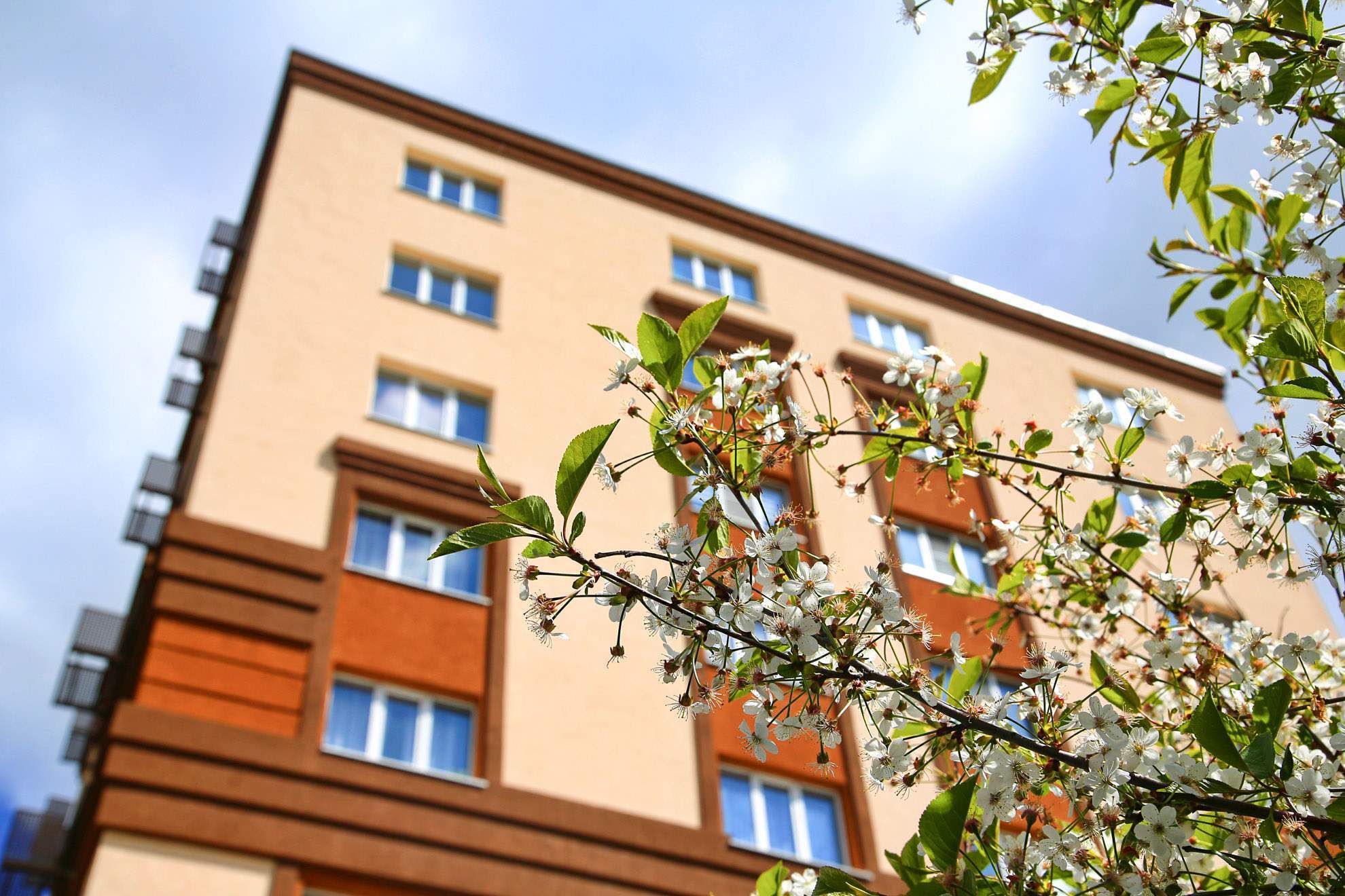 Сдам в аренду помещение свободного назначения 74.6 м.кв.