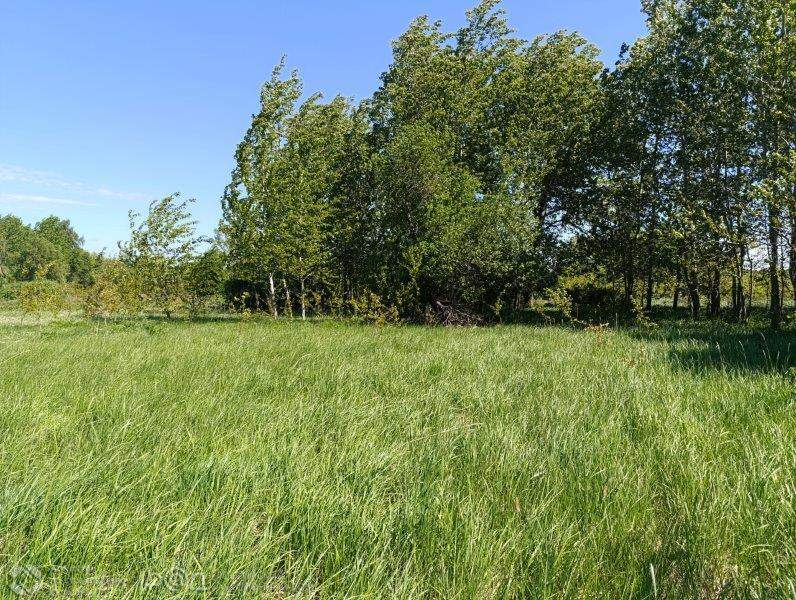 Продам земельный участок 64000 м.кв.